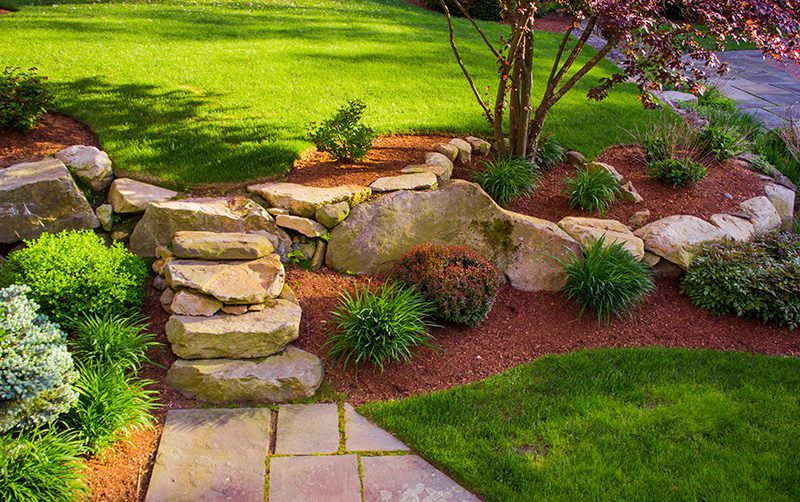 Top Landscaping and Hardscape Pros in the Carolinas | Lee's Nursery &  Landscaping